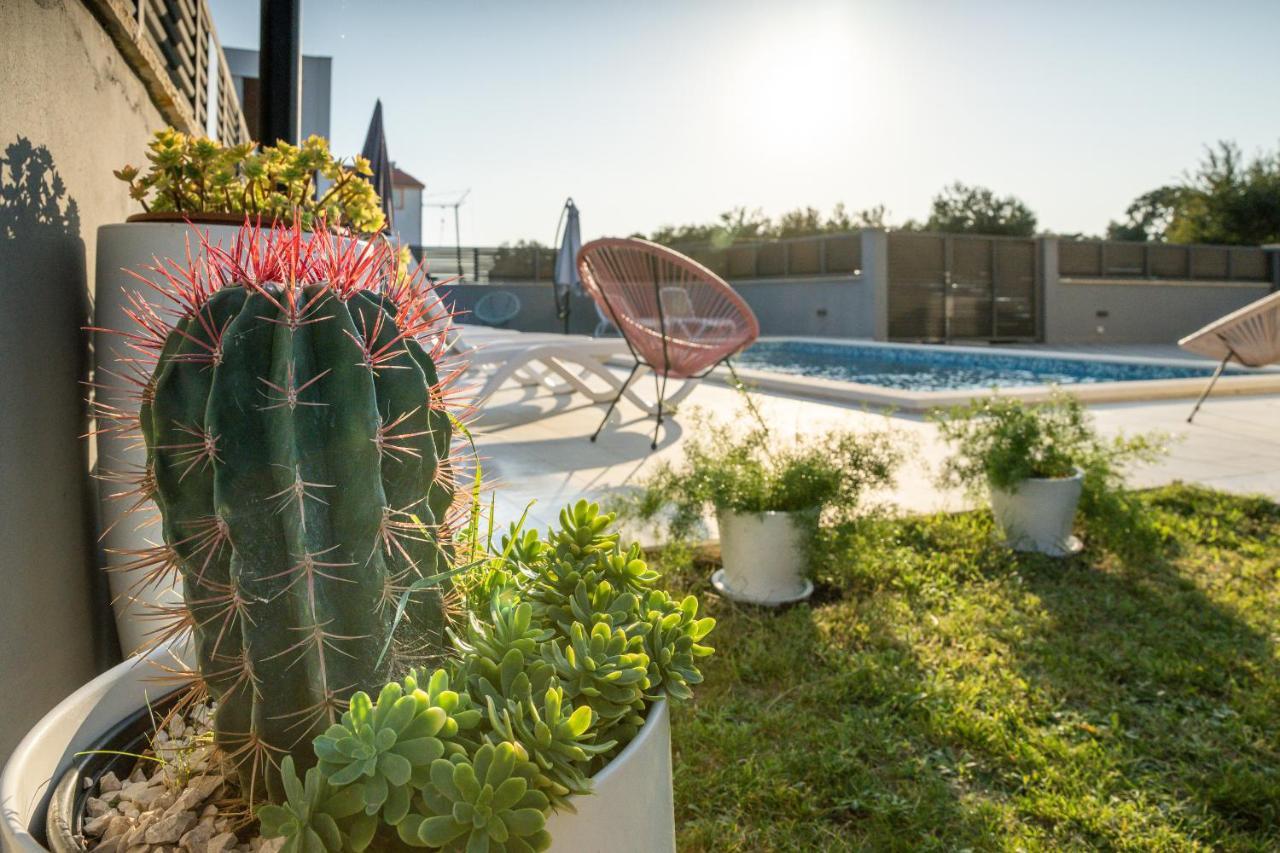 Apartments Evita Бибинє Екстер'єр фото